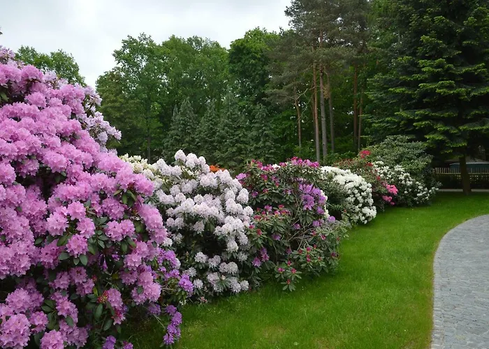 Ferienquartier Goethe33 * Drezno