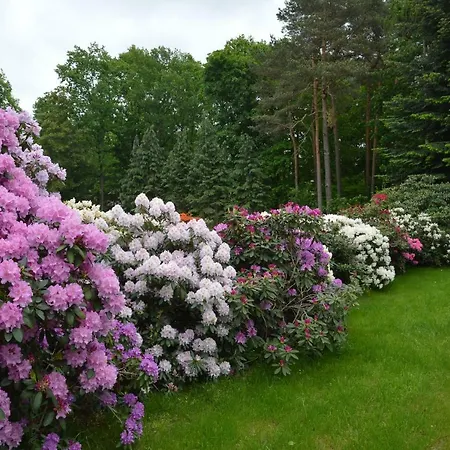 Ferienquartier Goethe33 * Drezno